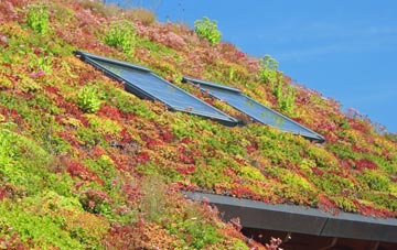 Worlingham living roof systems