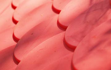 Worlingham plastic roof costs