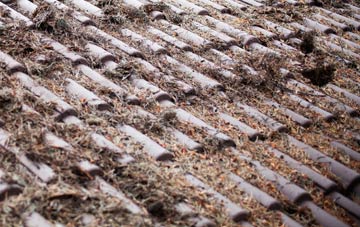 Worlingham roof cleaning companies